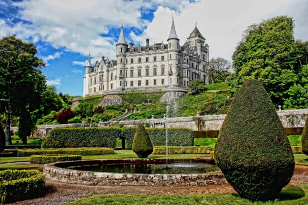 jardinage-annuel