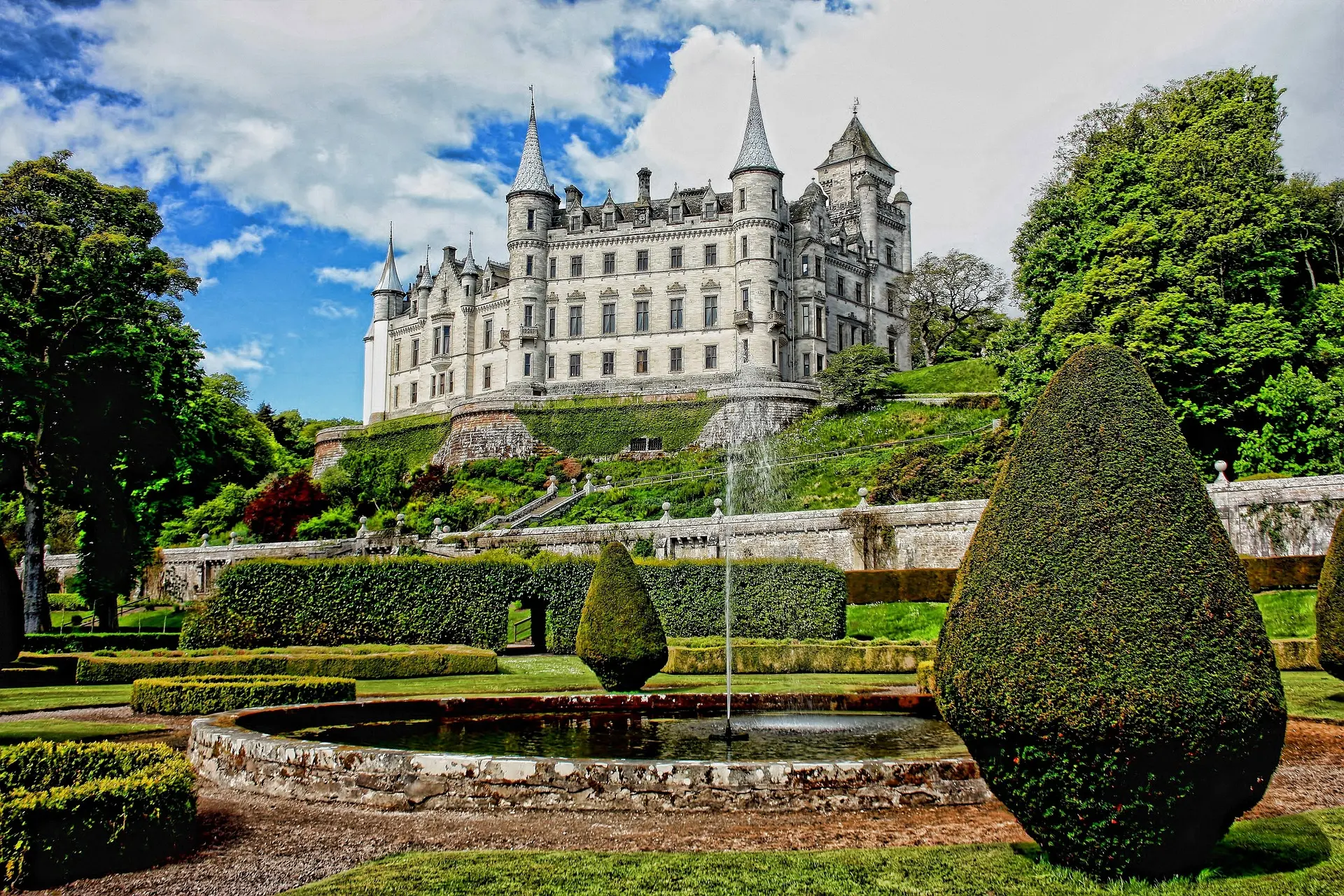 jardinage-annuel