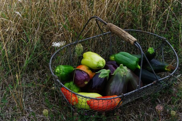 Le jardin comestible : cultivez vos propres aliments et savourez la fraîcheur de la nature
