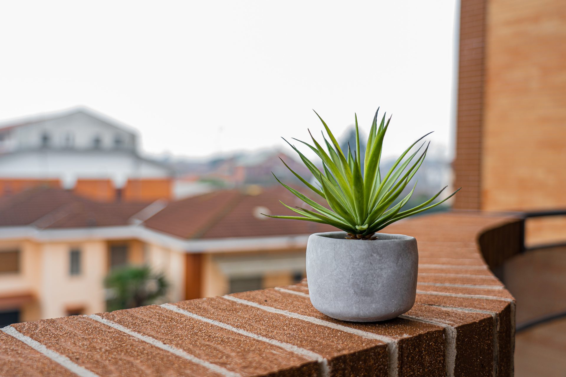 Petit balcon, grandes idées : comment en faire un espace beau et fonctionnel