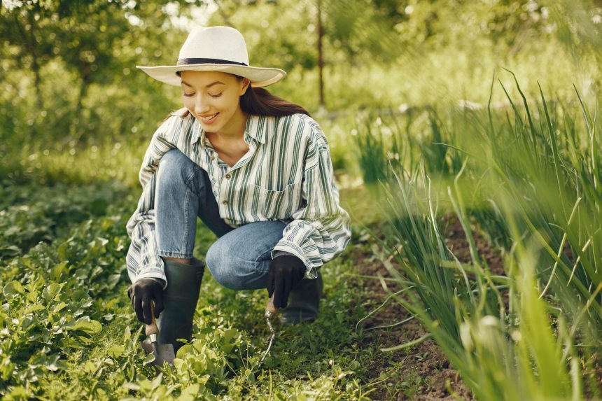 Créer votre propre jardin de fleurs : guide pour débutants