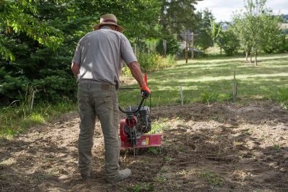 gardener, garden, gardening